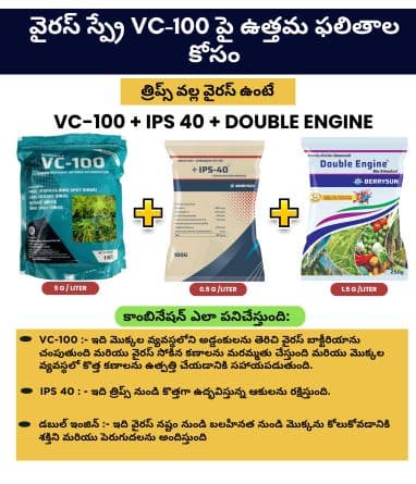 VC-100 IPS Combo Green for 100 Ltr Spray. Best Control on Virus in Chilli & Capsicum. Not Applicable with Fungicides - Image 3