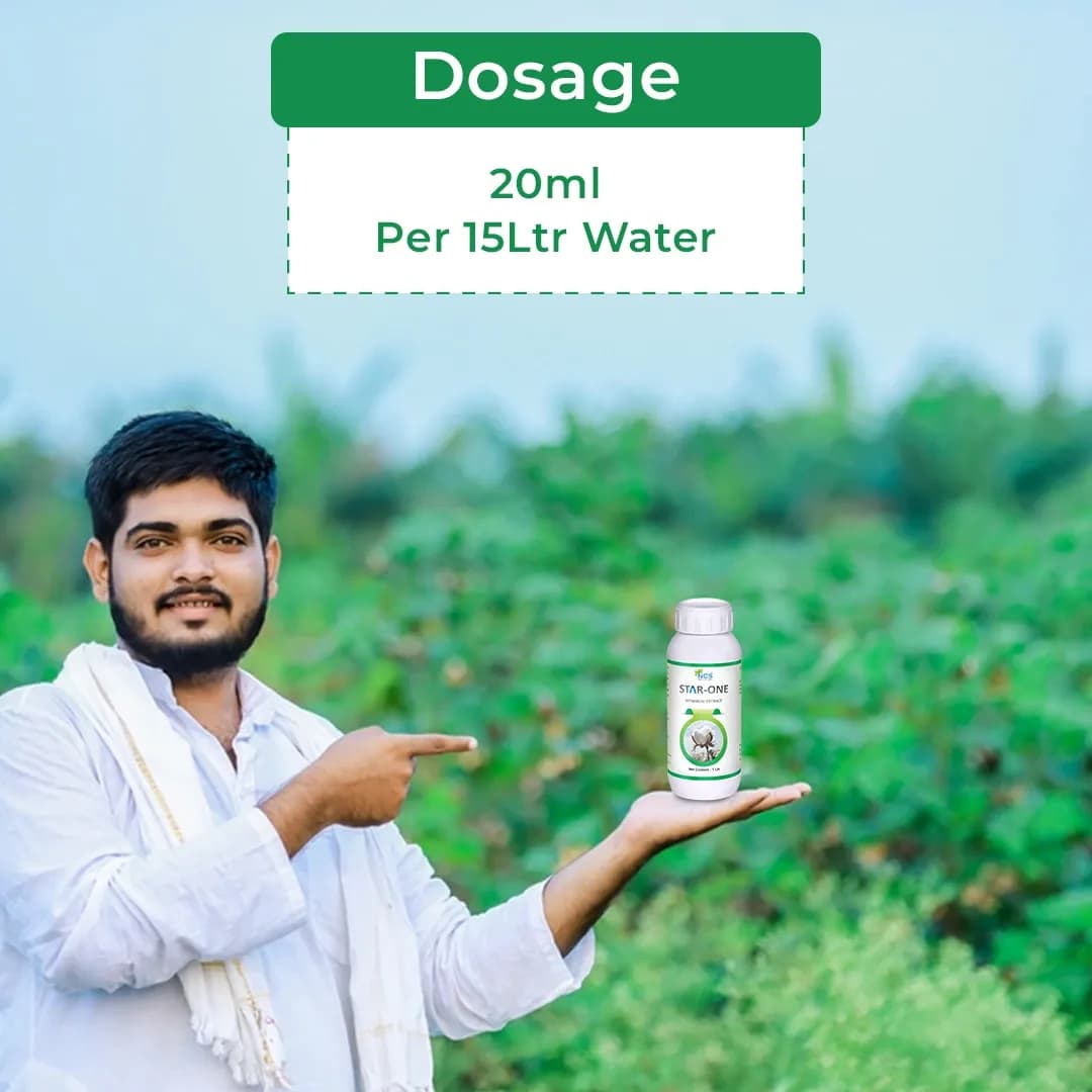 स्टार वन - बॉलवर्म, फल और शूट छेदक, लीफ माइनर के लिए लार्विसाइड, गैर विषैले, उन्नत जैव प्रौद्योगिकी पर आधारित, हर लार्वा के लिए सबसे अच्छा उपाय - Image 6