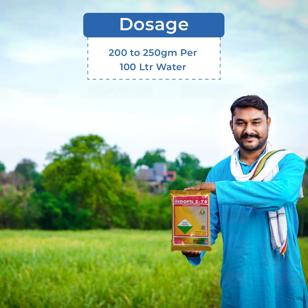 Indofil Z-78 Zineb 75% WP, An Unique Broad Spectrum Fungicides with Zinc Nutrition. - Image 5