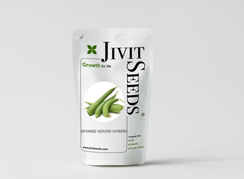 Jivit F1 Hybrid Sponge Gourd Sharvi Seeds, Vigorous Growing Vines, Dark Green in Color - Image 3