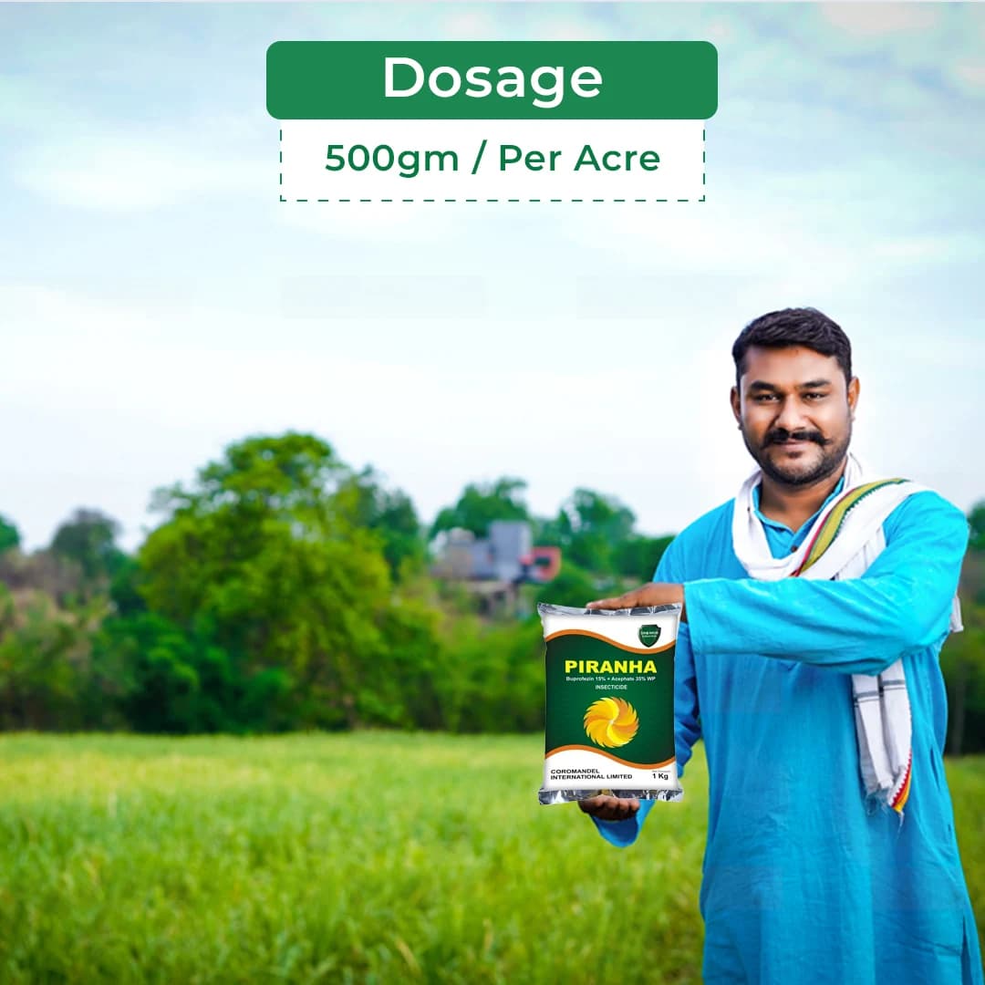 Coromandel Piranha Insecticide - Image 5