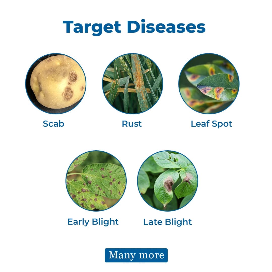 Coromandel Jatayu Chlorothalonil 75% WP Fungicide, A Broad Spectrum Contact Fungicide and is Highly Effective Against Anthracnose. - Image 3