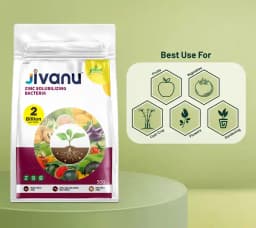 Jivanu Zinc Solubilizing Bacterial BioFertilizer (ZSB) , For All Plants and Home Garden Ecofriendly 5