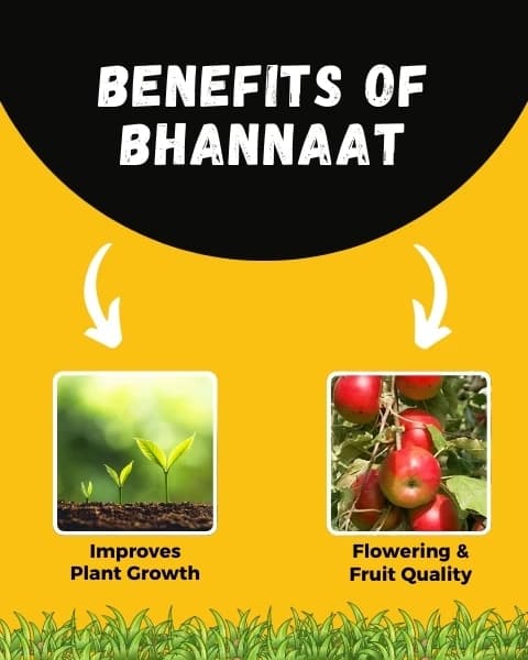 Katyayani Bhannaat Biostimulant Plant Growth Promoter, Increases Plant Resistance - Image 4