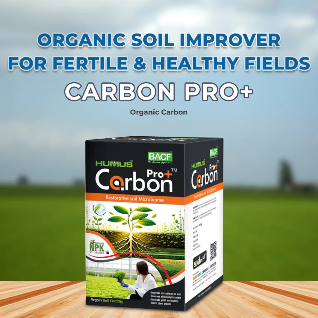 BACF Carbon Pro+ Organic Carbon, Microgranules Based Complex Carbon Sources, Use For Vegetable, Fruit, Cotton and Horticulture Crops - Image 2