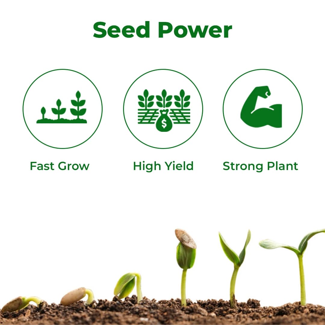 Cromin Seed+ Zincated Phosphate Suspension (NPK 00:14:00, Zn-17.5%) Provides effective nutrient input for early crop growth. - Image 3