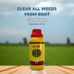 MBF G-40 Glyphosate 41% Systemic Herbicide, For Controlling Weeds of Tea and Non Crop Areas 2
