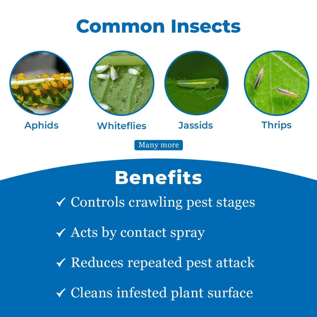 Exylon Eclipse Insecticide - Ethion 40% + Cypermethrin 5% EC - Image 3