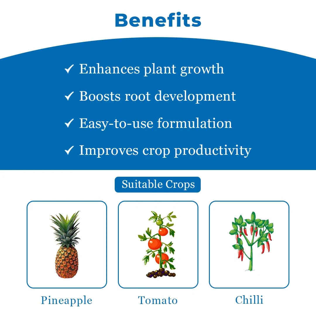 Bayer Planofix - Plant Growth Regulator - Image 4