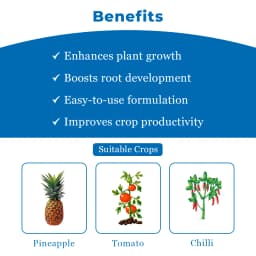 Bayer Planofix - Alpha Naphthyl Acetic Acid 4.5 SL (4.5% ww) Increase and Improving the Quality and Yield Of Fruits, Reduces Pre-Harvest Berry Drop 4