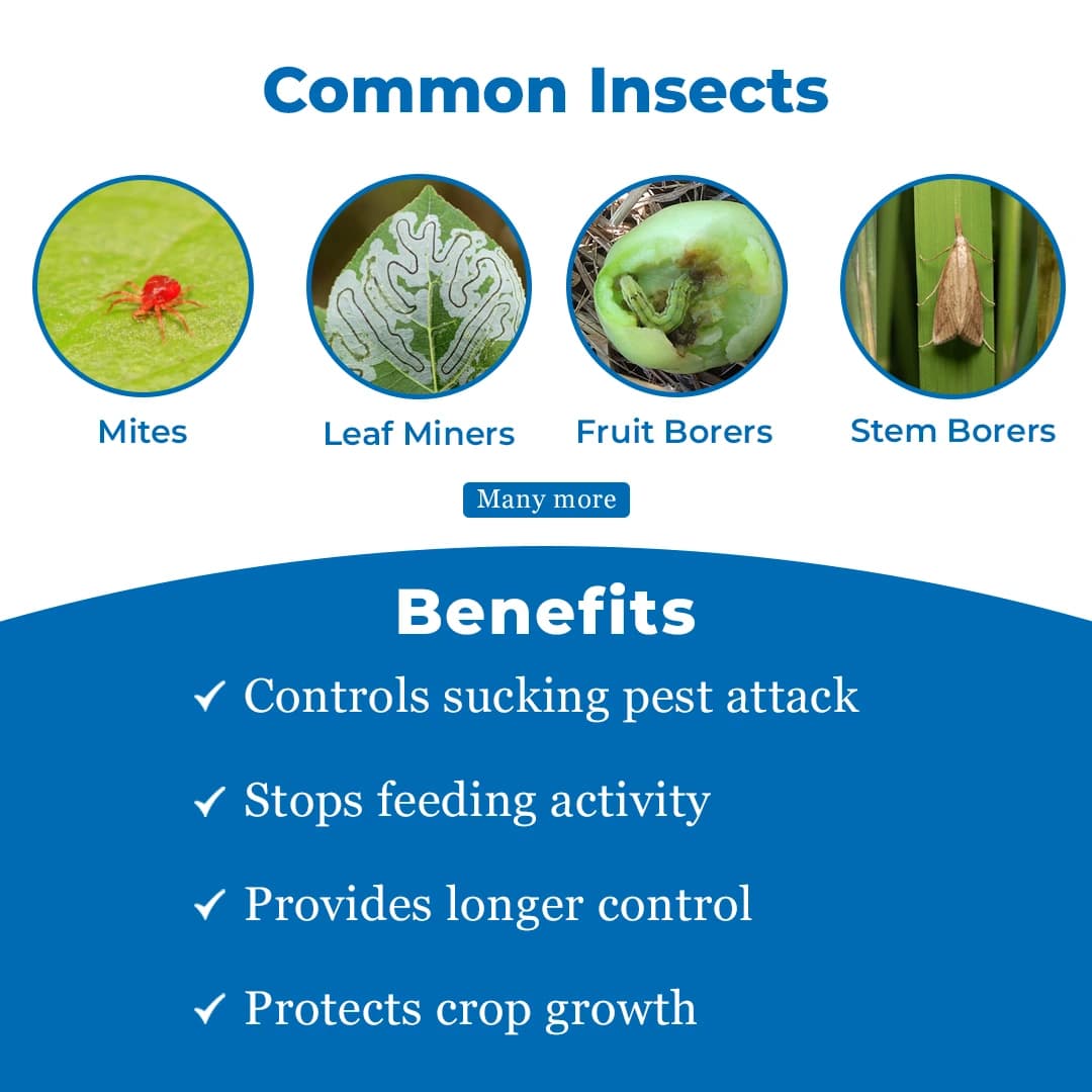 EBS Antigo Insecticide - Image 3