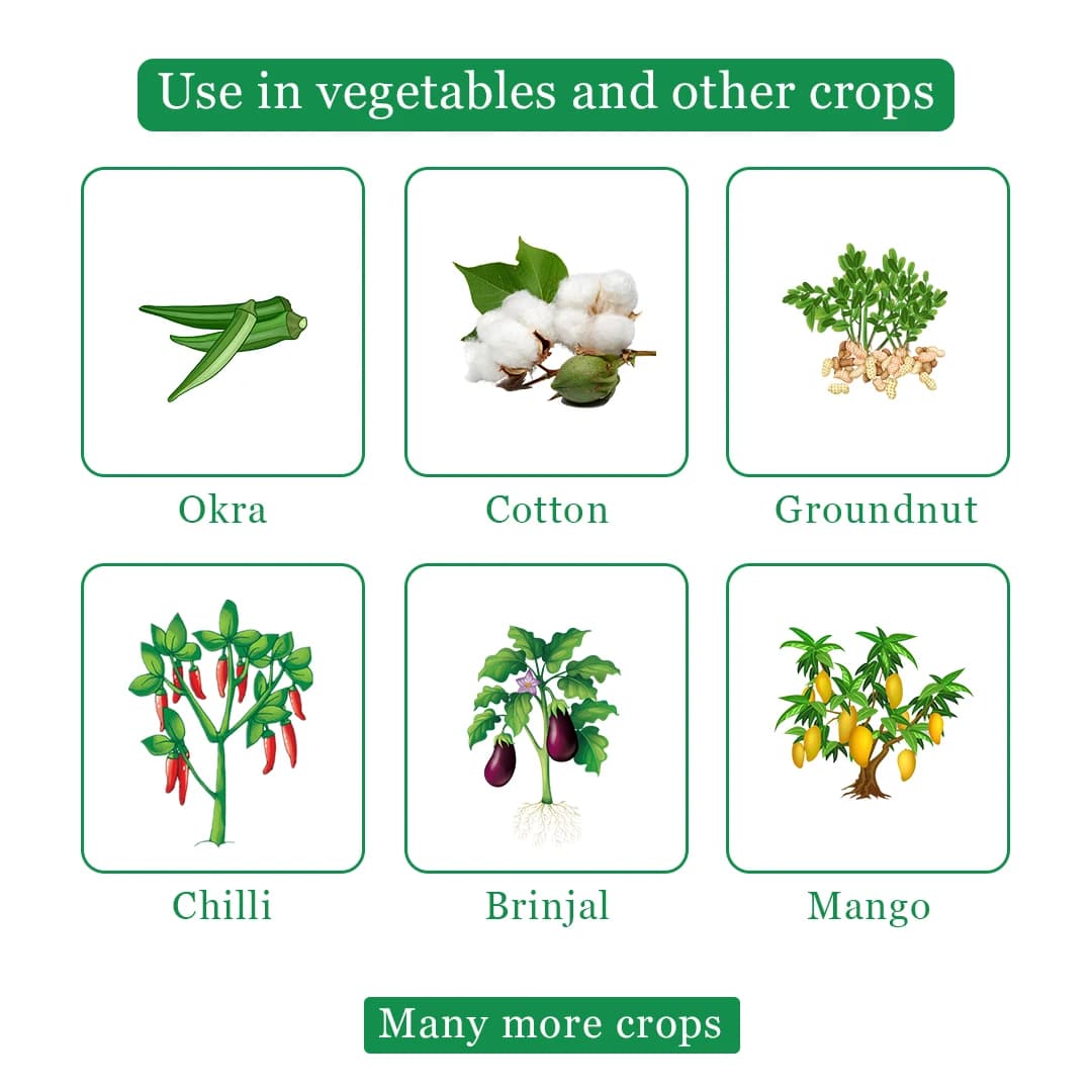 Exylon Cypher Insecticide - Cypermethrin 25% EC - Image 4