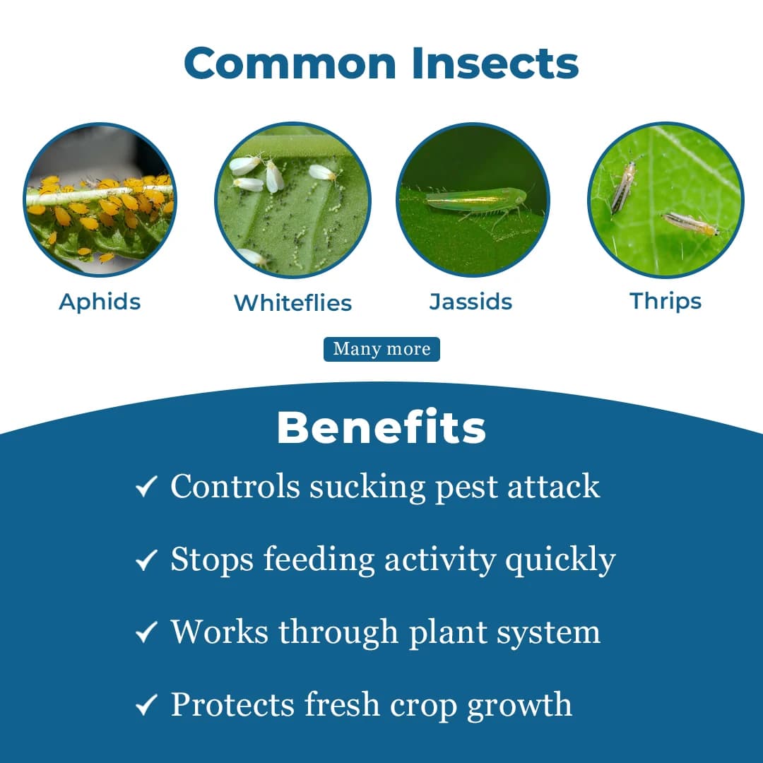 Exylon Pyrithrin Insecticide - Pyriproxyfen 10% + Bifenthrin 10% EC - Image 3