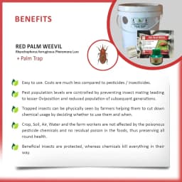ACTIVE IPM Palm Trap + Red Palm Weevil Pheromone Lure, Pest Control Tool For Rhynchophorus Ferrugineus 5