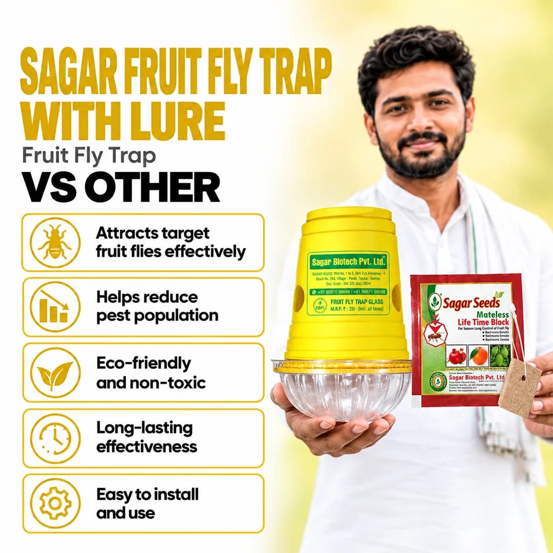 Sagar Fruit Fly Trap With Lure Effective Melon Fly Trap - Image 9