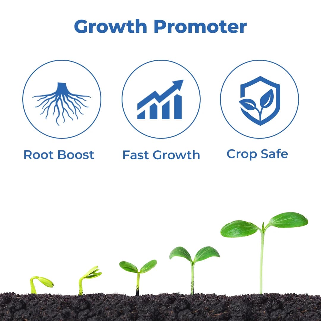 Coromandel Fantac Plus - Plant Growth Promoter - Image 3