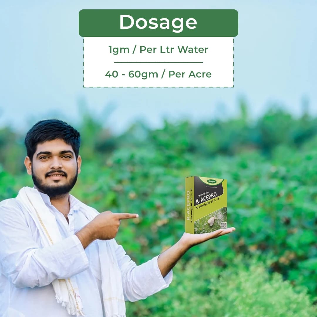 Katyayani K-Acepro Insecticide - Image 5