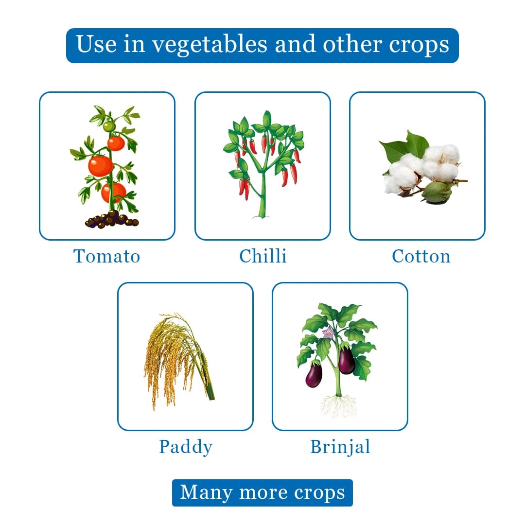 EBS Imidasecure Imidacloprid 17.8% SL Insecticide, Used To Protect Crops From Pests - Image 4