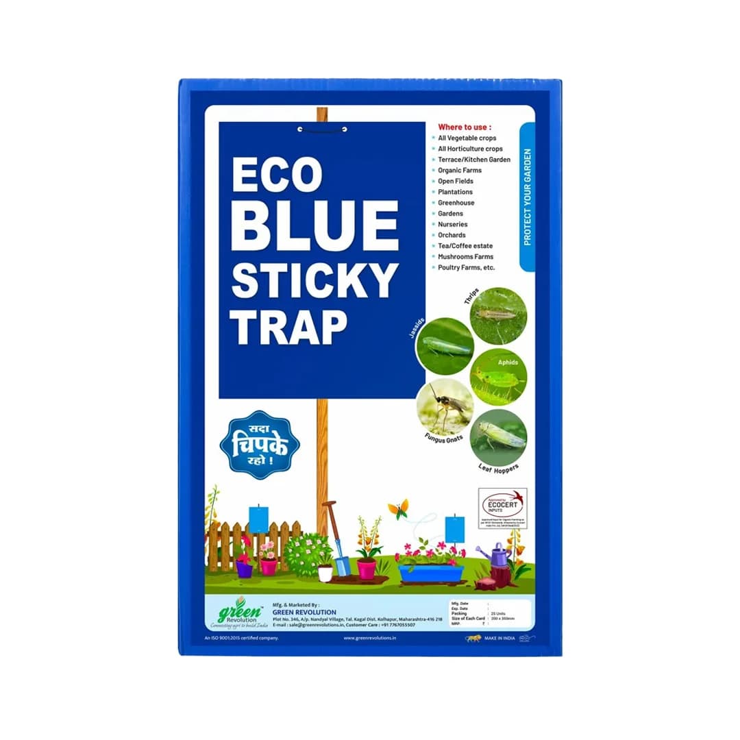 Eco Sticky Trap - A4 Size, Combo Of Yellow and Blue Sticky Trap For The Insects. - Image 2