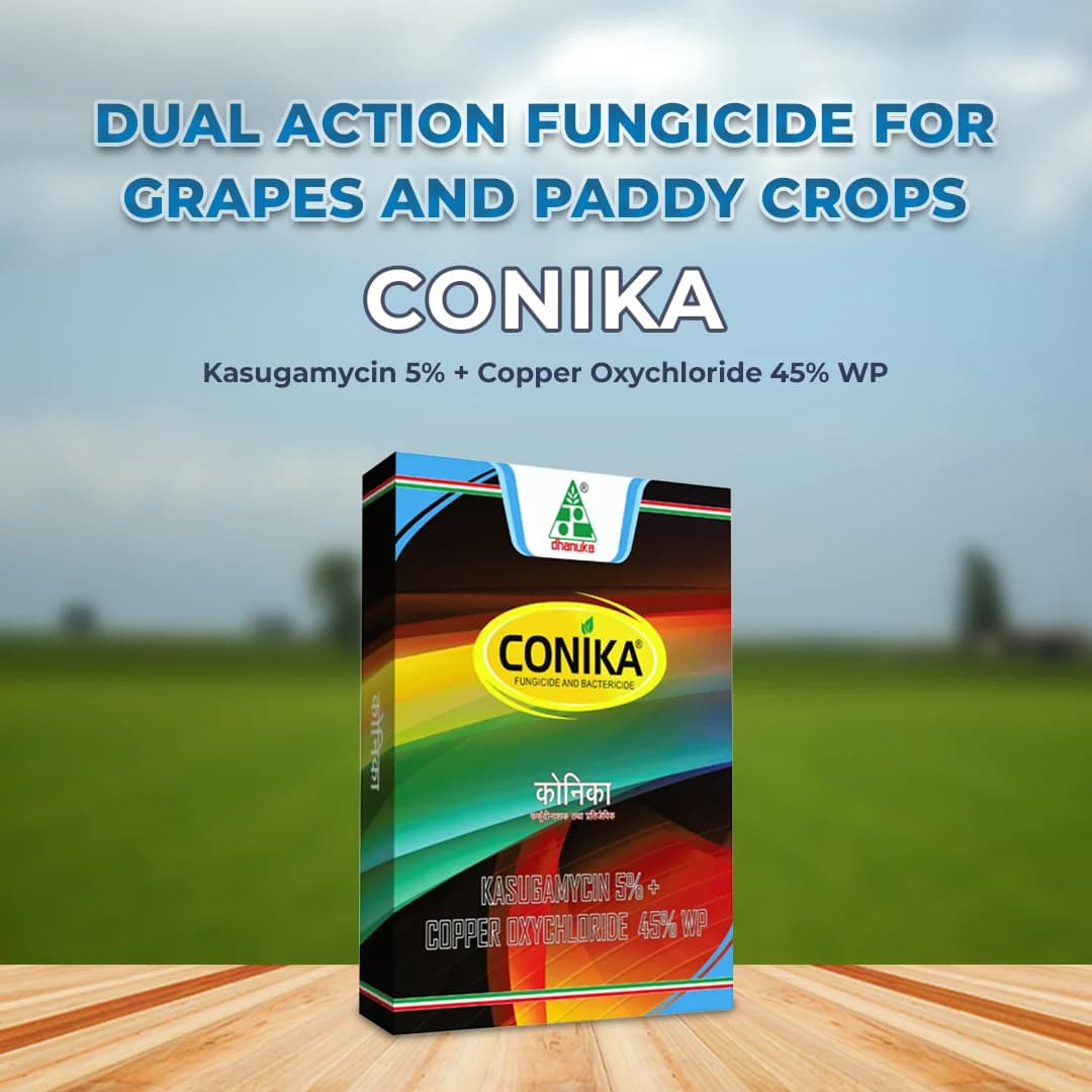 Conika Fungicide - Kasugamycin 5% + Copper Oxychloride 45% WP - Image 2