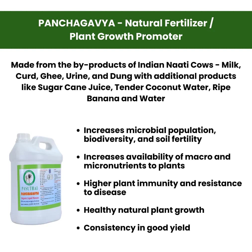 Pasuthai Panchagavya (5L), Agnihastra (5L) & Ganajeevamrutha (5Kg) Combo Products, Increases Plant\'s Resistance & Corp Yield - Image 3