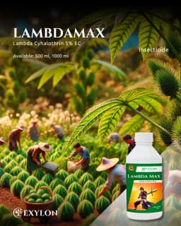 Exylon LambdaMax Lambda Cyhalothrin 5% EC Insecticide, Fast Knockdown And Lasting Control Of Bollworms, Aphids And Whiteflies In Crops 2