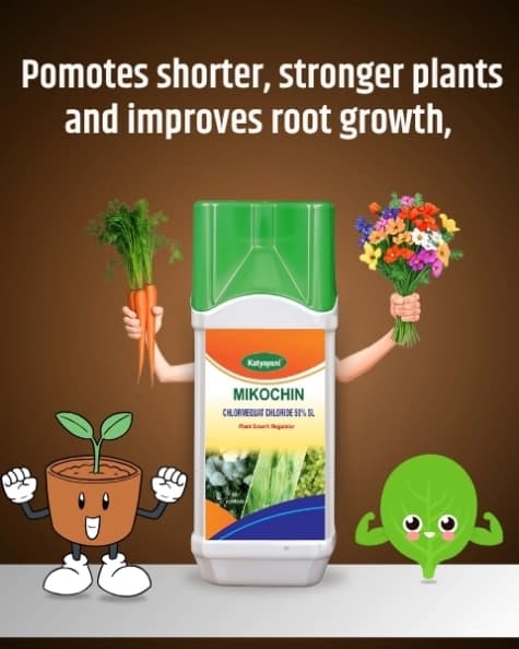 Katyayani Mikochin Chlormequat Chloride 50% SL Plant Growth Regulator for Vegetables, Fruits, and Crops - Image 2