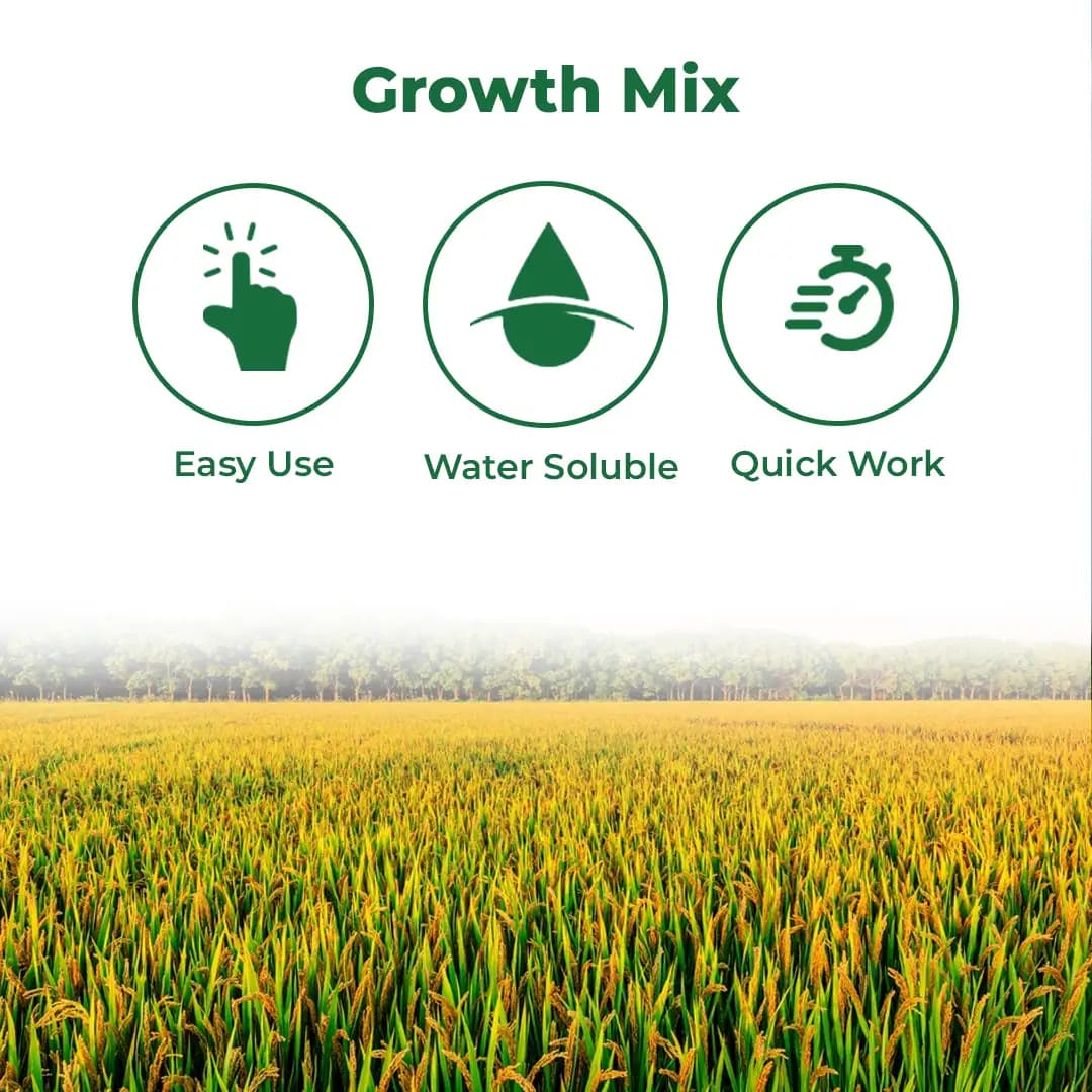 Aries Agro Majorsol Fertilizer (Paddy Plantation Special ), Fully Water Soluble Mixtures Of Fertilizers. - Image 3