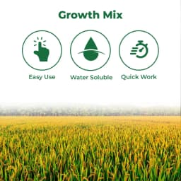 Aries Agro Majorsol Fertilizer (Paddy Plantation Special ), Fully Water Soluble Mixtures Of Fertilizers. 3