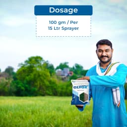 Glyox Ammonium - Salt of Glyphosate 71% SG, Systemic Herbicide Effective Against Broadleaf Weeds in Tea and Non-Cropped Areas 5