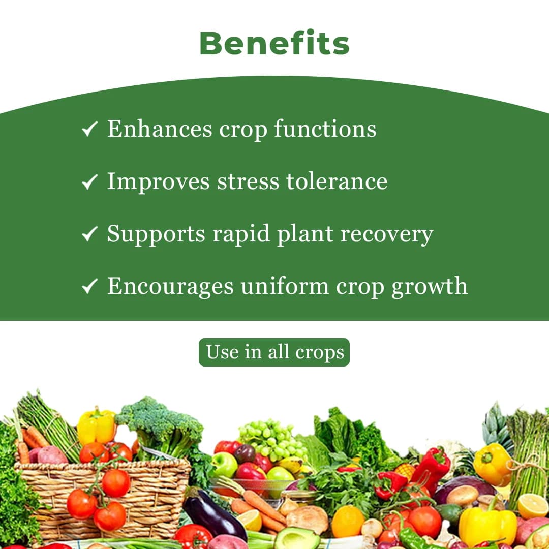 Barrix Plantcharger - Image 4