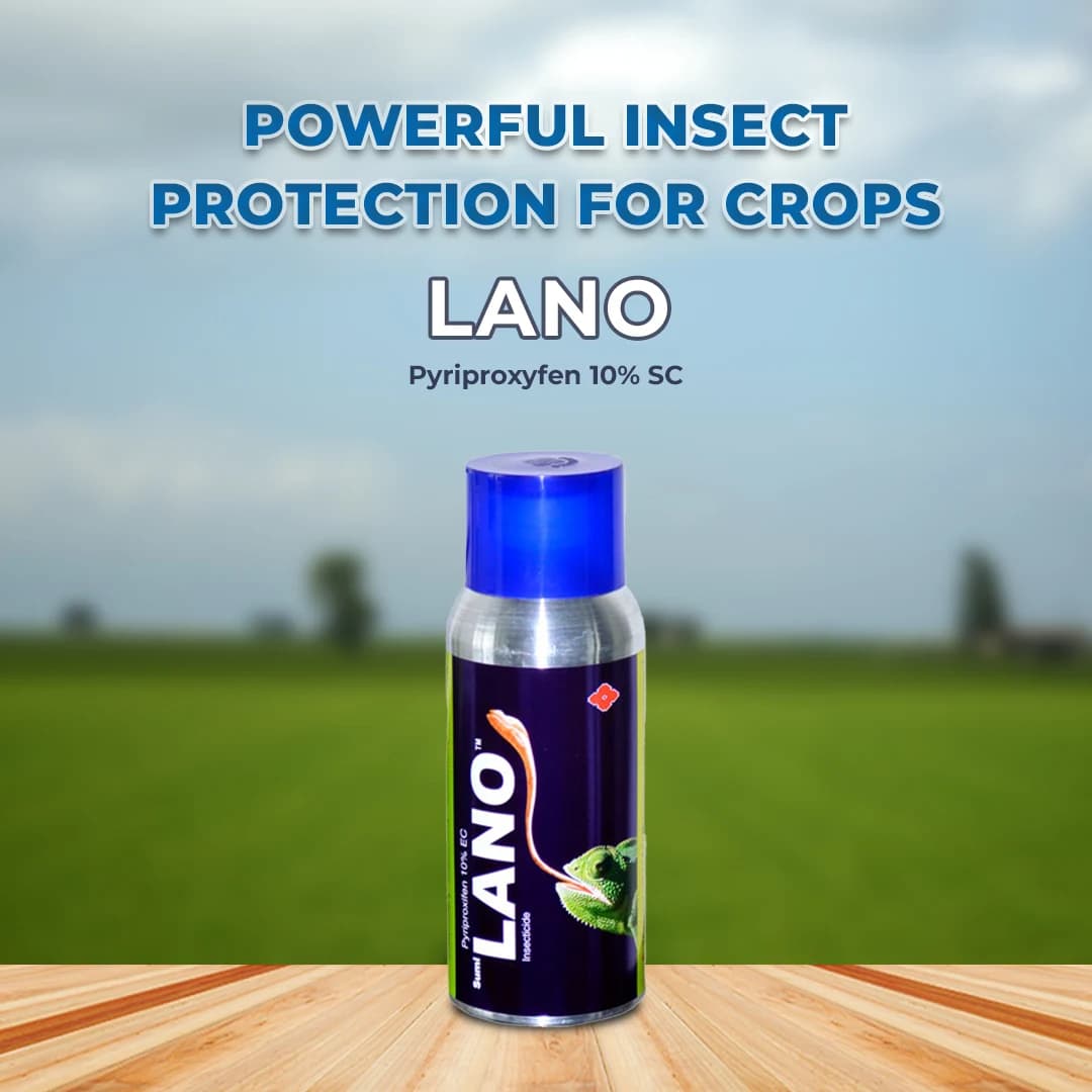 Sumitomo Lano Pyriproxyfen 10% SC Insecticides, Pyridine-Based Pesticide Used Against Variety Of Arthropoda. - Image 2