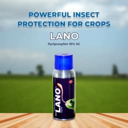 Sumitomo Lano Pyriproxyfen 10% SC Insecticides, Pyridine-Based Pesticide Used Against Variety Of Arthropoda. 2