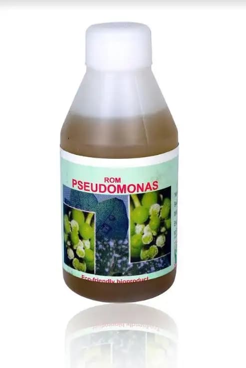 ROM Pseudomonas, Effective Controls Foliar Diseases And Certain Soil Borne Diseases. - Image 2