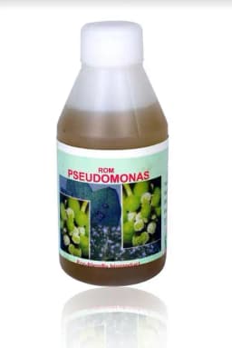 ROM Pseudomonas, Effective Controls Foliar Diseases And Certain Soil Borne Diseases. 2