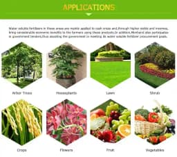 Geolife Nano Fert Phosporus Nitrate NPK 17:44:00 Water Soluble Fertilizer, Water soluble. 4