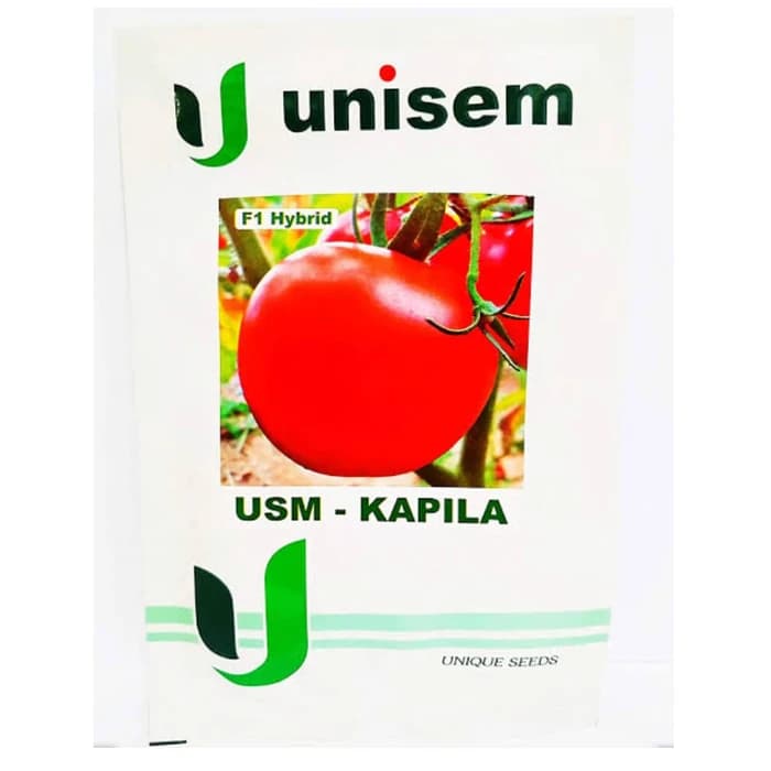 Unisem USM-KAPILA F1 Hybrid Tomato Seeds - Image 3