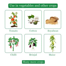 GSP Helipro Insecticide - Chlorantraniliprole 18.5% SC 4