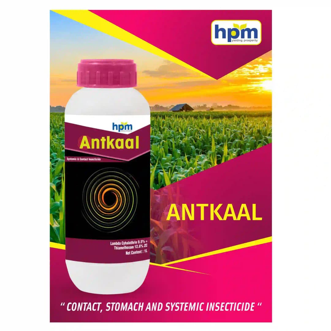 Hpm Antkaal Thiamethoxam 12.6% + Lambda Cyhalothrin 9.5% ZC Contact, Stomach, and Systemic Insecticide - Image 3