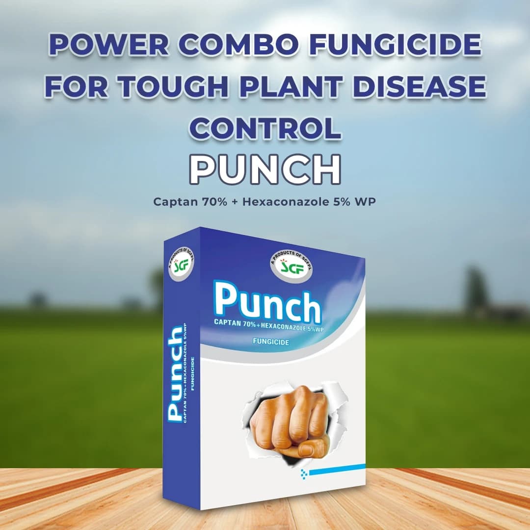 EBS Punch Fungicide - Captan 70% + Hexaconazole 5% WP - Image 3