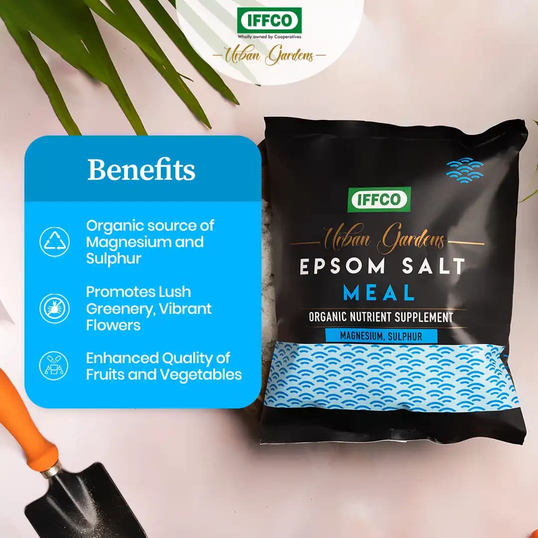 IFFCO Urban Garden Epsom Salt Meal, Organic Magnesium Sulphate Fertilizer For Plants, Home And Garden Nutrient Supplement - Image 3