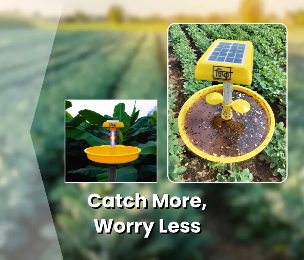 चिपकू मिनी रिचार्जेबल कीट लाइट ट्रैप, गार्डन लाइट ट्रैप, सोलर कीट नाशक, कीड़ों के लिए यूवी लाइट ट्रैप, 6 महीने की वारंटी के साथ पूरी तरह से स्वचालित. - Image 9