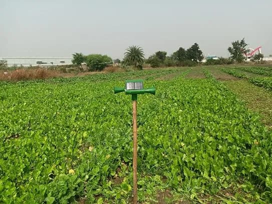 GreenVayu Basic Mr. Gogo Ultrasonic Farm Animal Repellent Device, 5V Solar Panel, Lithium-Ion Battery, 360 Degree Rotation - Image 9