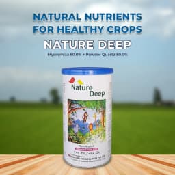 Sumitomo Nature Deep, Mycorrhiza 50.0% + Powder Quartz 50.0%, For Various Fruits And Vegetables. 2