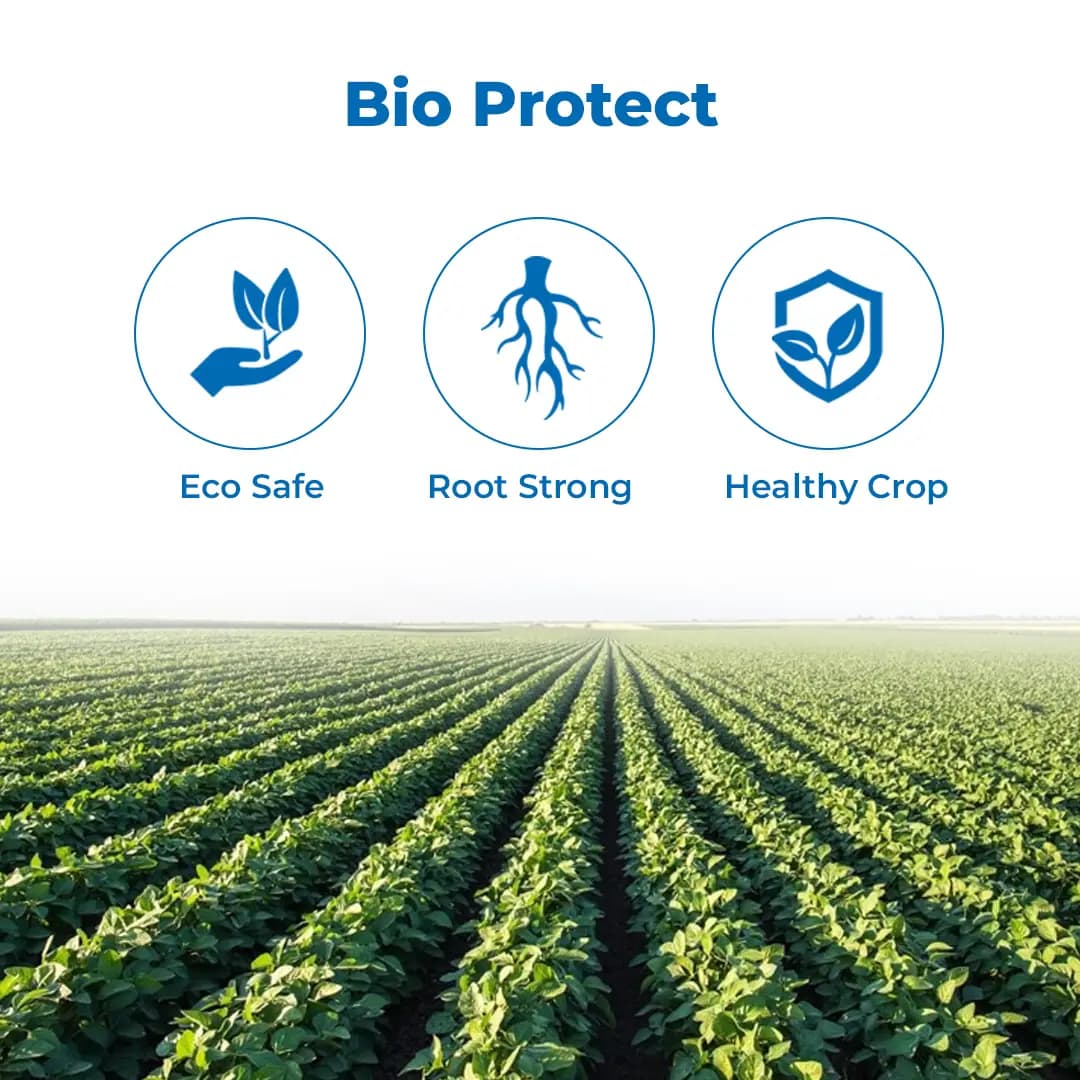 BACF Trident Bio-Fungicide - Trichoderma Viride 1.5% WP - Image 3