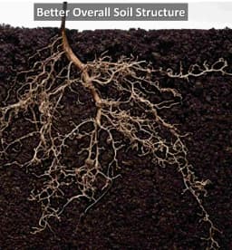 न्यूट्रीब्लूम जैविक लिक्विड ह्यूमिक और फुल्विक एसिड, यूएसए प्लांट उत्पाद, सर्वोत्तम पौधों के उत्तेजक 3