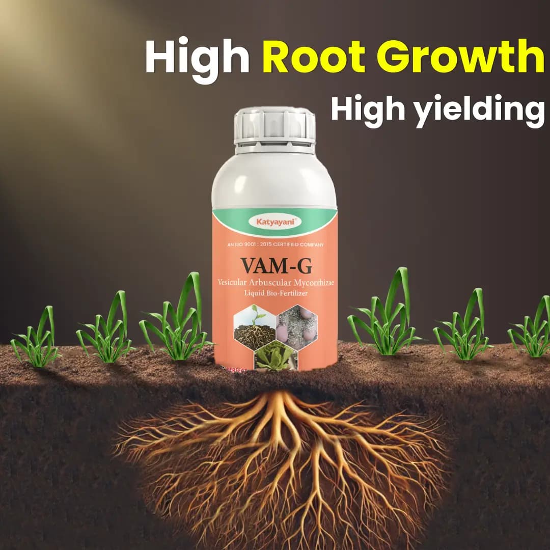 Katyayani VAM-G Vesicular Arbuscular Mycorrhiza Bio Fertilizer, Boosts Root Growth, And Improves Soil Health - Image 2