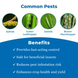 UPL Ulala (Flonicamid 50% WG) Novel Solution for Sucking pest management with unique mode of action 3