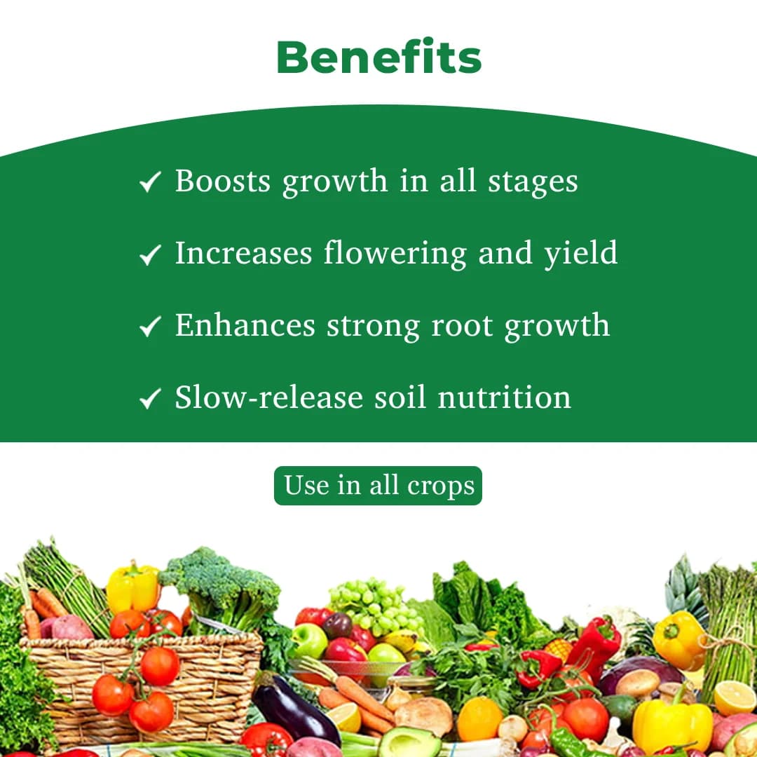 PI Biovita X Granules - Plant Growth Regulator - Image 4