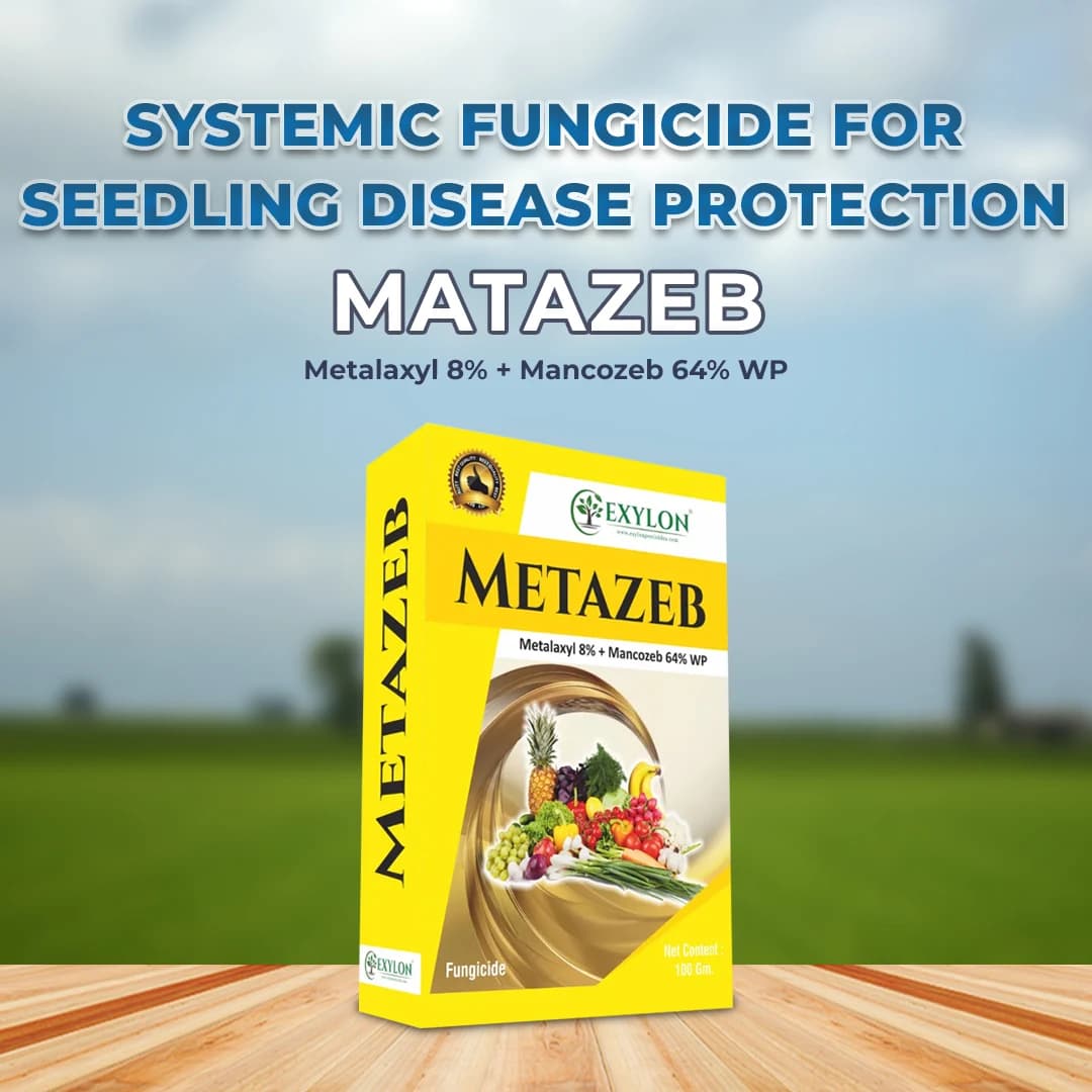 Exylon Matazeb Fungicide - Metalaxyl 8% + Mancozeb 64% WP - Image 3